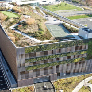 Incyte Pharmaceuticals